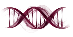 DNA